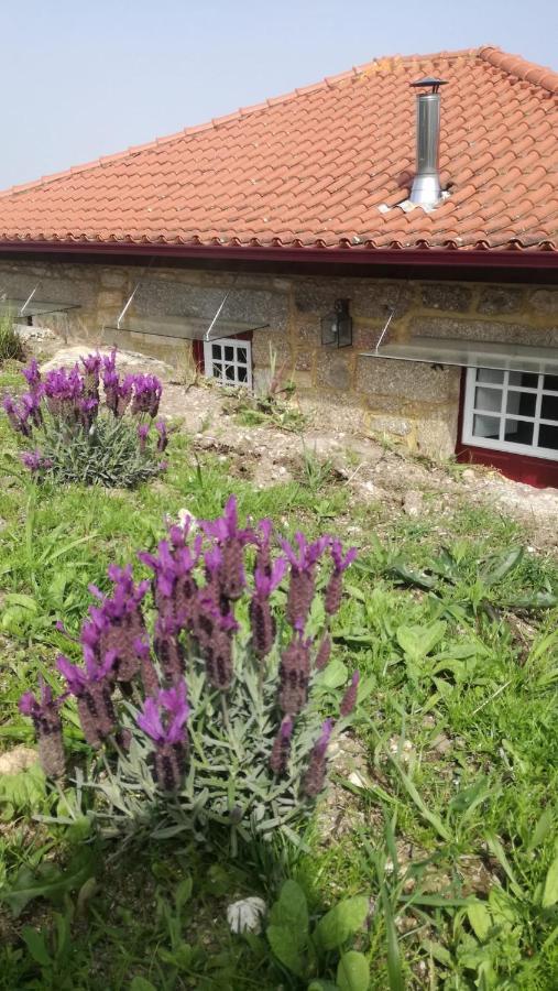 Casa Do Rancho - Turismo Rural Paranhos  Экстерьер фото